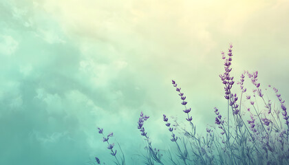 A single pastel color, such as mint green or lavender, providing a soothing and simple backdrop