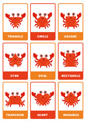 Red crabs in geometrical shapes. 2d shapes with names.