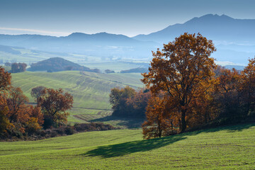 Autumn landscape with rolling hills and golden trees, Navarra, Spain