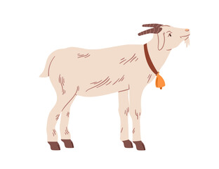 Goat standing in profile with bell collar. Horned domestic farm animal, rural countryside livestock. Country village fauna. Flat graphic vector illustration isolated on white background