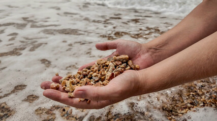 A close-up of hands holding pebbles by the seaside, symbolizing connection with nature during summer vacation