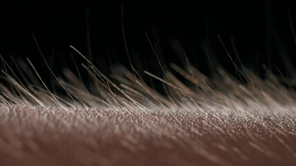 Macro shot of Hair Standing on End Against a Dark Background