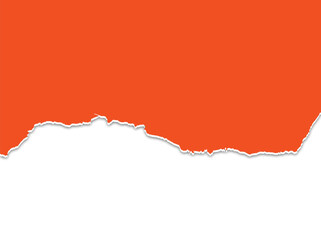 Realistic paper rips texture background