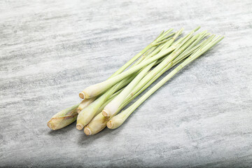 Lemongrass - Asian aroma plant for cooking
