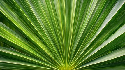 Fototapeta premium Close-up of vibrant green palm leaf showcasing intricate patterns and textures, perfect for nature and tropical-themed projects.