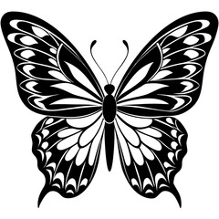 black and white butterfly