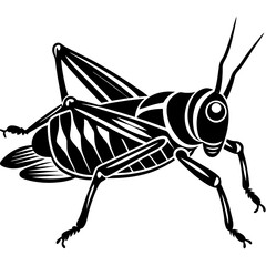 grasshopper silhouettes vector animal illustration 