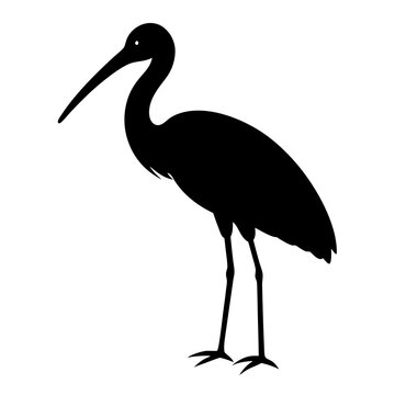 recommend clip art: spoonbill silhouette vector animal illustration