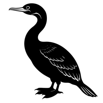 recommend clip art: cormorant silhouette isolated on white