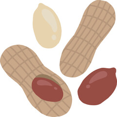 peanut vector art flat illustration icon
