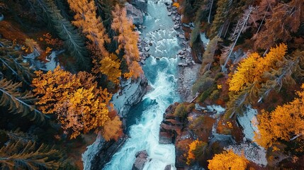 Aerial View of a River in Autumn
