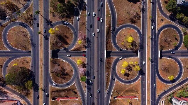 aerial view of yellow ipe trees in the streets of Brasilia - brazil