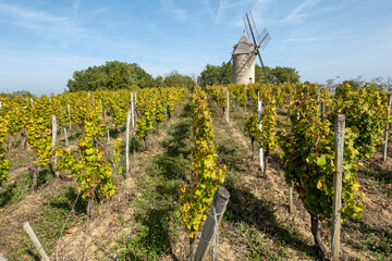 Chateau Moulins de Calon with lines of vines, Montagne-Saint-Emilion, near St. Emilion, France