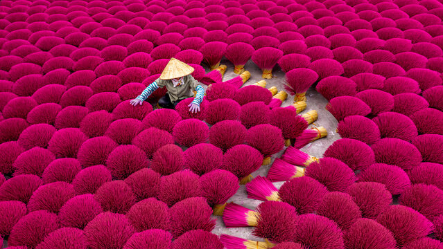 View of colourful incense drying under the sun with traditional female workers in conical hats, Quang Phu Cau village, Vietnam.