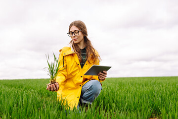 A young farmer woman in a yellow raincoat inspects a healthy plant crop in a green field while...