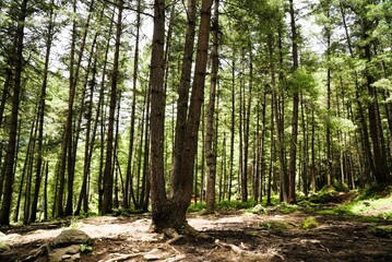 Base camp, Paro Taktsang,Tiger Nest Monastery, Paro, Bhutan, Asia
