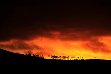 View of tranquil sunset with dramatic sky and silhouetted trees, Cape Town, South Africa.
