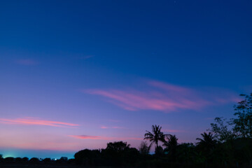 Blur Abstract Background of stars moving slowly in the twilight. and darkness tree shadow