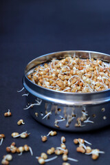 Freshly sprouted matki, also known as moth beans. Small brown legumes that are commonly used in Indian cuisine. Nutrient rich, packed with protein, fiber, vitamins. Ideal for salads, and curries.