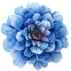 Obraz premium blue hydrangea flower on transparent background png