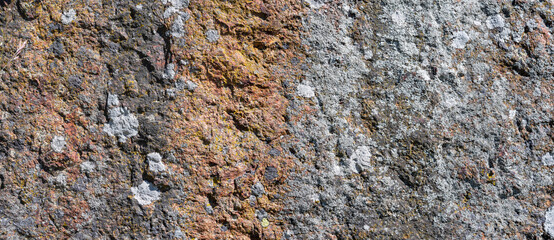 background, texture, rough stone surface with lichen