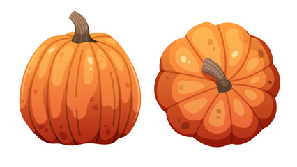 Orange pumpkin, top and frontal views. Vector elements on white background. Autumn harvest, gifts of fall