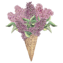 A set of purple lilac flowers in a waffle cone isolated on a white background, a bouquet of lilacs, a blooming branch of lilac with leaves. Watercolor illustration in vintage style. botanical art