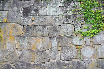 鶴ヶ城の石垣　福島県会津若松市