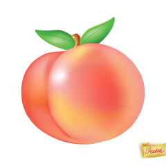 Peach fruit  flying on white background realistic element. Vector juicy art