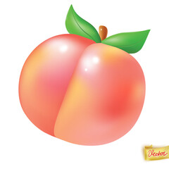 Peach fruit  flying on white background realistic element. Vector juicy art