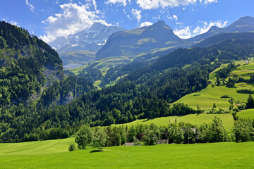 Fototapeta premium Alps Landscape Background