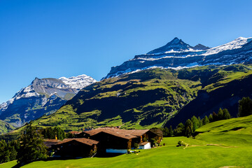 Fototapeta premium Alps Landscape Background