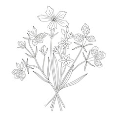 Fototapeta premium Wildflower bouquet with different meadow flowers and blooming wild plants. Line art, minimal style, contour. Botanical hand-drawn elements for design projects. Vector illustration