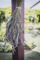 LAVENDER TIED IN A BOUQUET