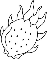 Dragon Fruit Outline Illustration With Bold Black Lines And Stylized Details