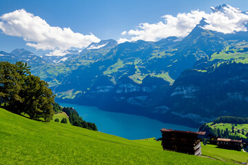 Fototapeta premium Alps Landscape Background