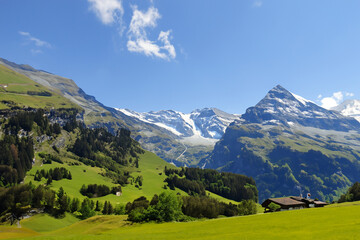 Obraz premium Alps Landscape Background