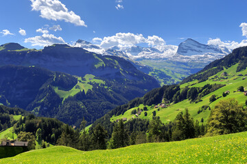 Fototapeta premium Alps Landscape Background