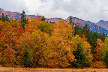 Obraz premium Autumn Landscape Background