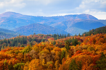 Fototapeta premium Autumn Landscape Background