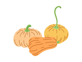 Vector flat style Halloween Illustration. Hand-drawn  pumpkins sketch isolated on white background. Element for labels, packaging and cards design.