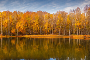 Fototapeta premium Autumn Landscape Background