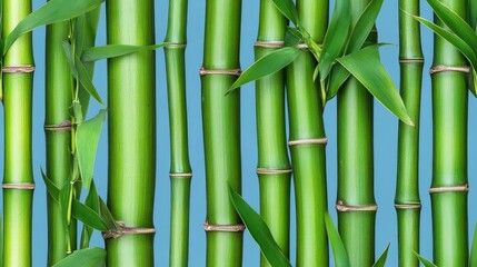 Obraz premium The lush green bamboo stems are densely arranged, creating a serene, abstract backdrop perfect for various design purposes or as a calming wallpaper SEAMLESS PATTERN