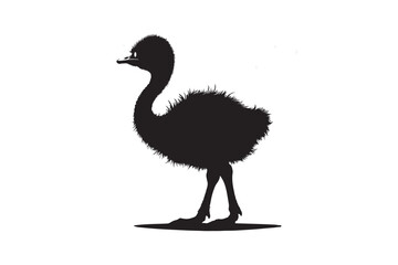 Ostrich  vector art and illustration