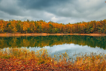 Obraz premium Autumn Landscape Background