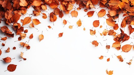 The autumn leaves gently fall from above, with a pure white background, forming a minimalist and peaceful composition that highlights the beauty of simplicity and nature.