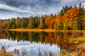Autumn Landscape Background