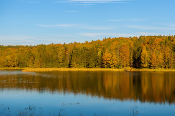 Autumn Landscape Background