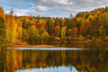 Fototapeta premium Autumn Landscape Background