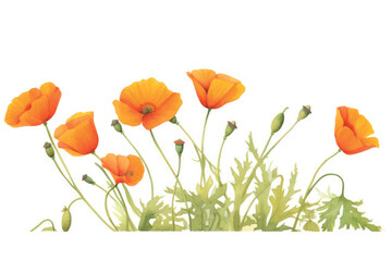Naklejka premium Vibrant watercolor orange poppies